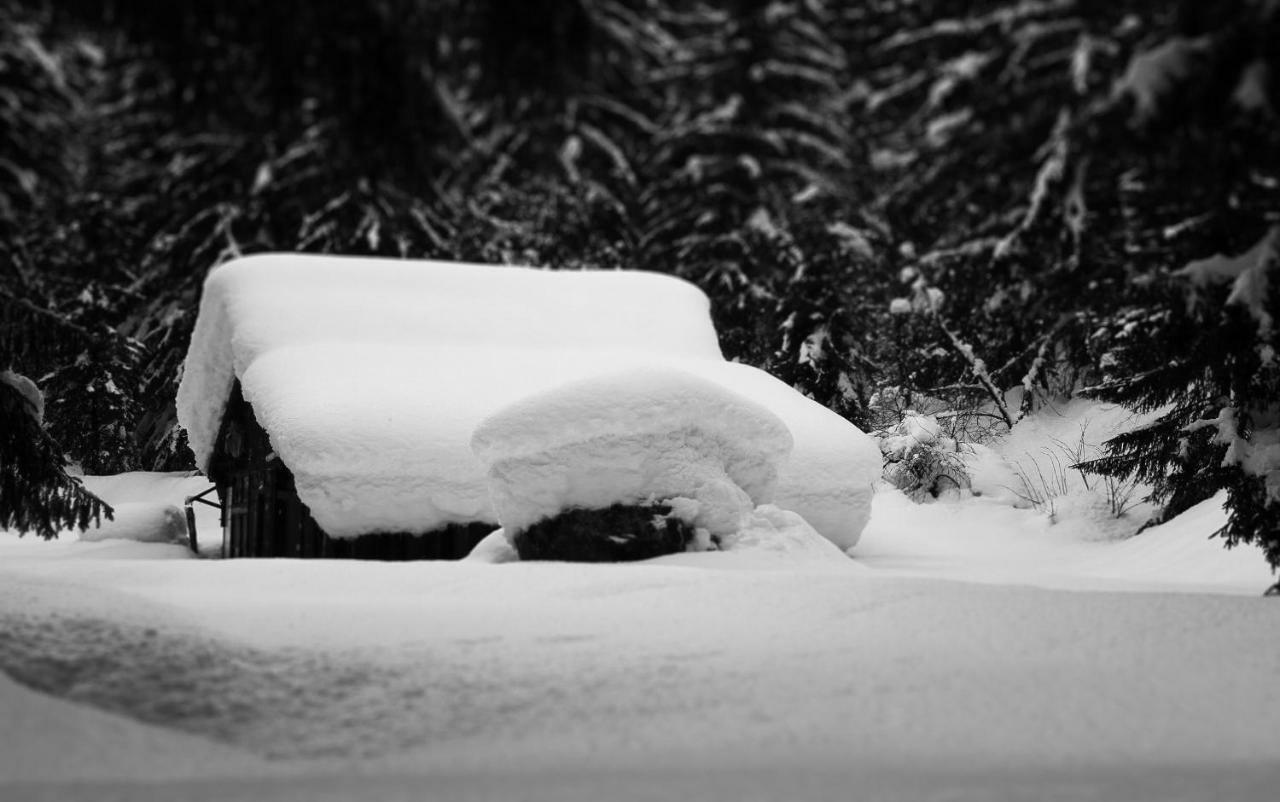 Apartamento Maya, La Praz, Mont Blanc Chamonix